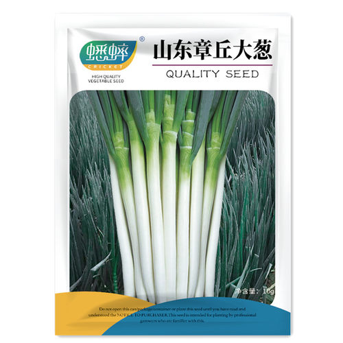 章丘铁杆大葱种子大香葱