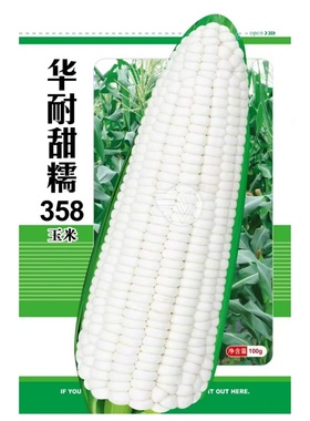华耐甜糯358玉米种子白色甜糯玉米种籽水果玉米四季超甜粘糯种孑