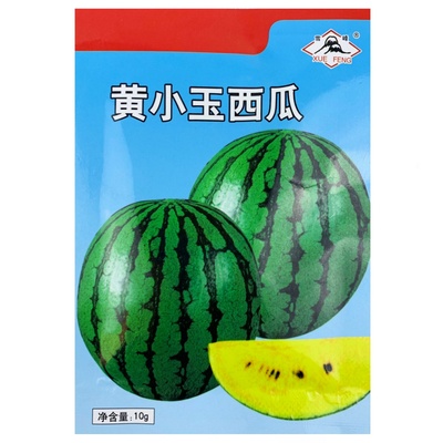 黄小玉西瓜种子水果黄瓤西瓜籽