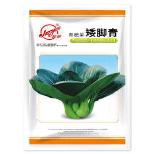 矮脚青梗菜黑叶苏州青种子上海青油菜种籽菜籽小青菜白菜蔬菜孑