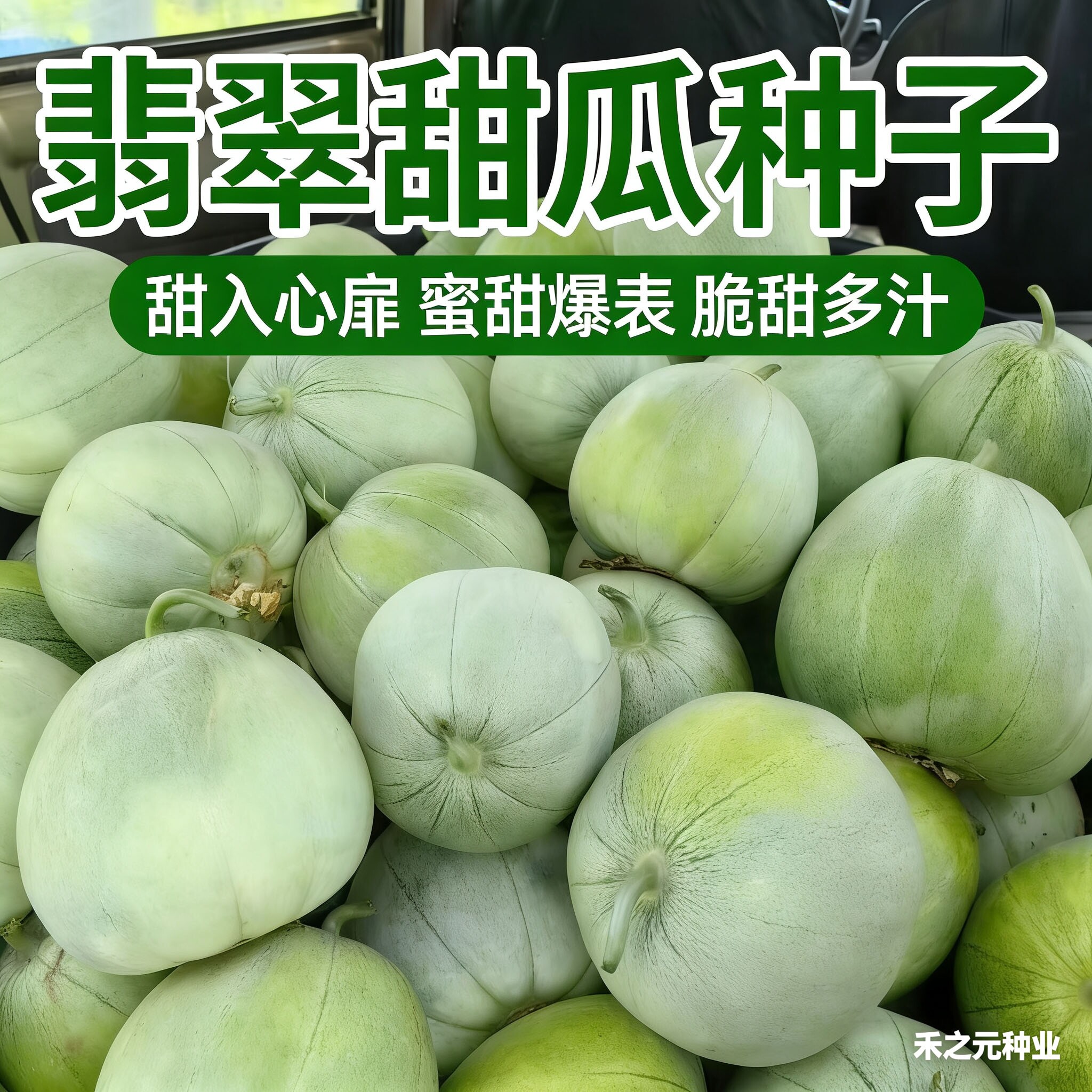 翡翠甜瓜种子超甜薄皮香瓜种子四季绿宝四季播种阳台盆栽水果种籽