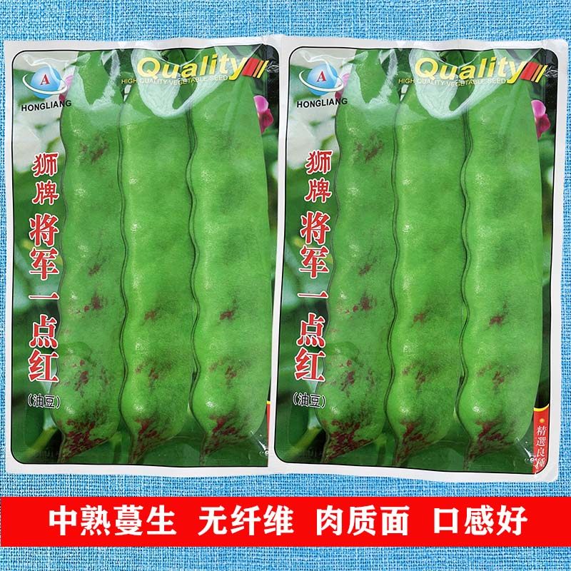 狮牌将军一点红油豆种子图片