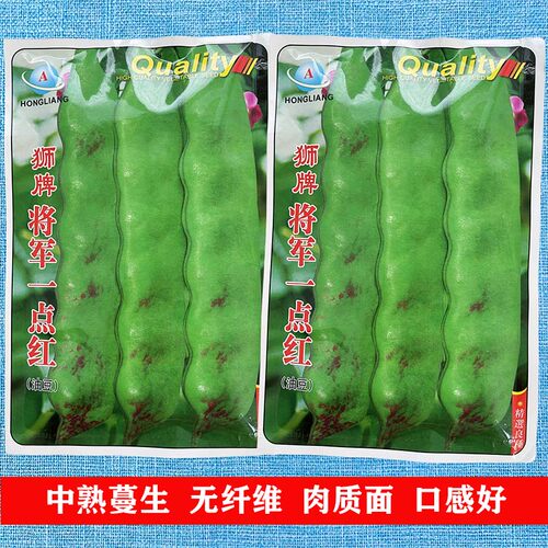 狮牌将军一点红油豆种子