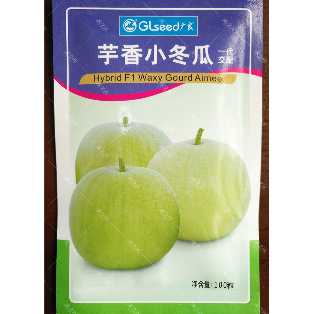 蔬菜春季种孑盆栽阳台小冬瓜