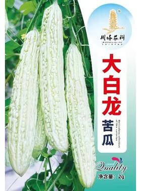 大白龙苦瓜种子长白苦瓜大全四季苦瓜种孑春季夏秋蔬菜禾之元籽