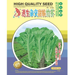速生甜脆叶芥种孑种籽蔬菜种子四季春秋冬季青菜种菜种籽水东芥菜
