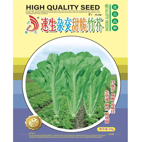 速生甜脆叶芥种孑种籽蔬菜种子四季春秋冬季青菜种菜种籽水东芥菜 - 封面