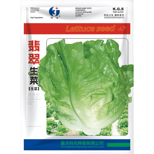 翡翠生菜种子水培四季农家小院
