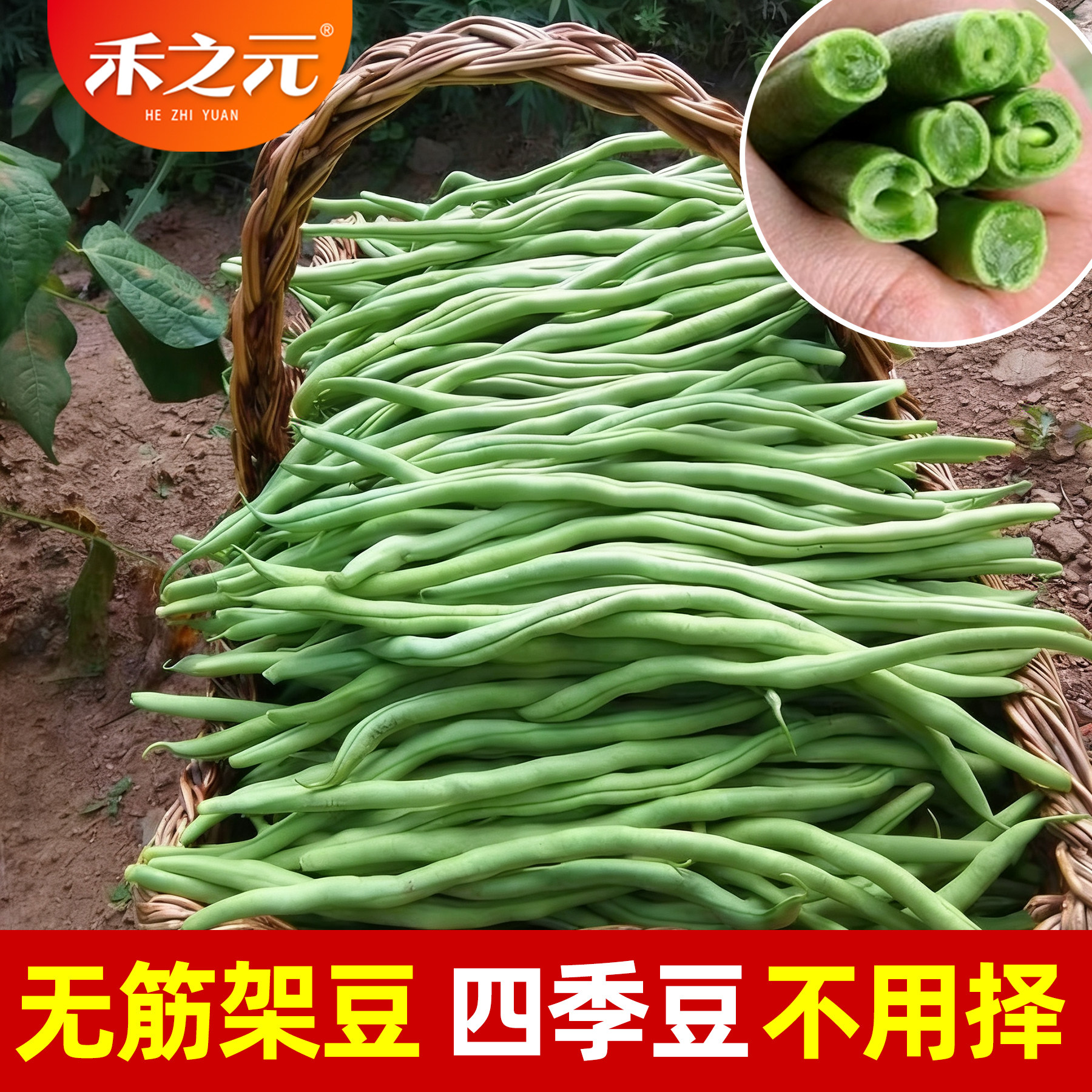 蔬菜无筋架豆种子芸豆菜豆四季豆青高产春季夏秋四季籽农家禾之元