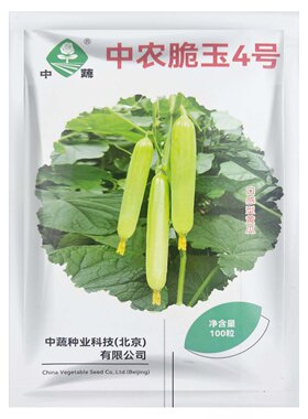 中农脆玉4号水果黄瓜种子