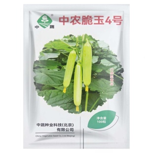 中农脆玉4号水果黄瓜种子 农科院 脆甜生吃小黄瓜 四季盆栽蔬菜籽