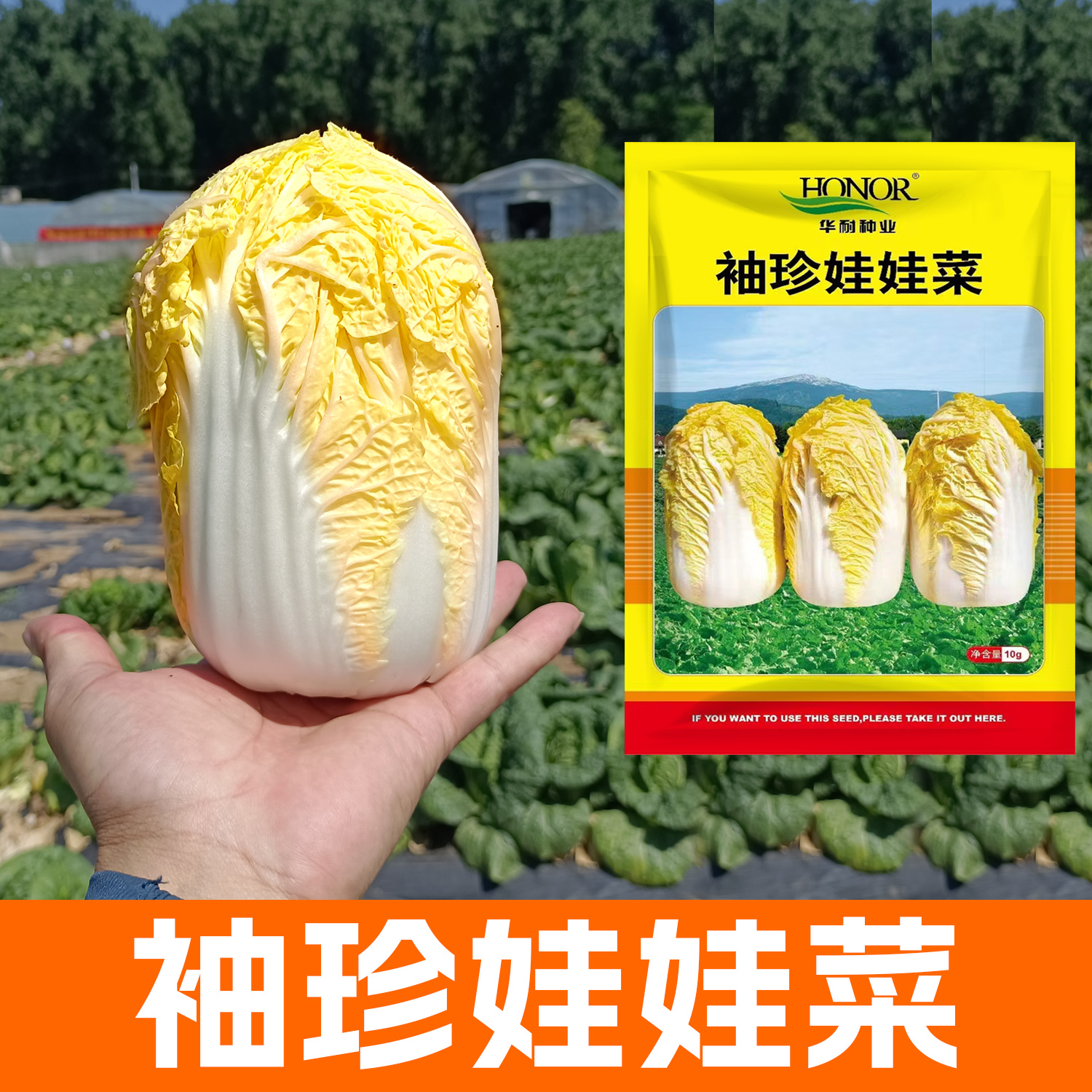 华耐袖珍娃娃黄心小白菜种籽