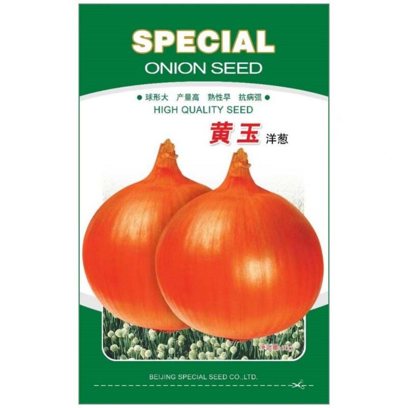 黄玉洋葱种子黄皮洋葱种籽黄皮圆葱种籽早熟洋葱种孑秋冬季蔬菜籽