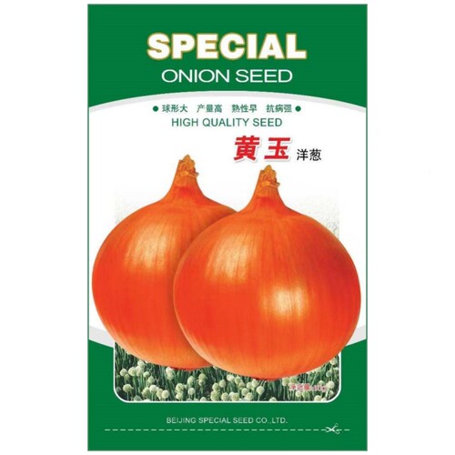 黄玉洋葱种子黄皮洋葱种籽