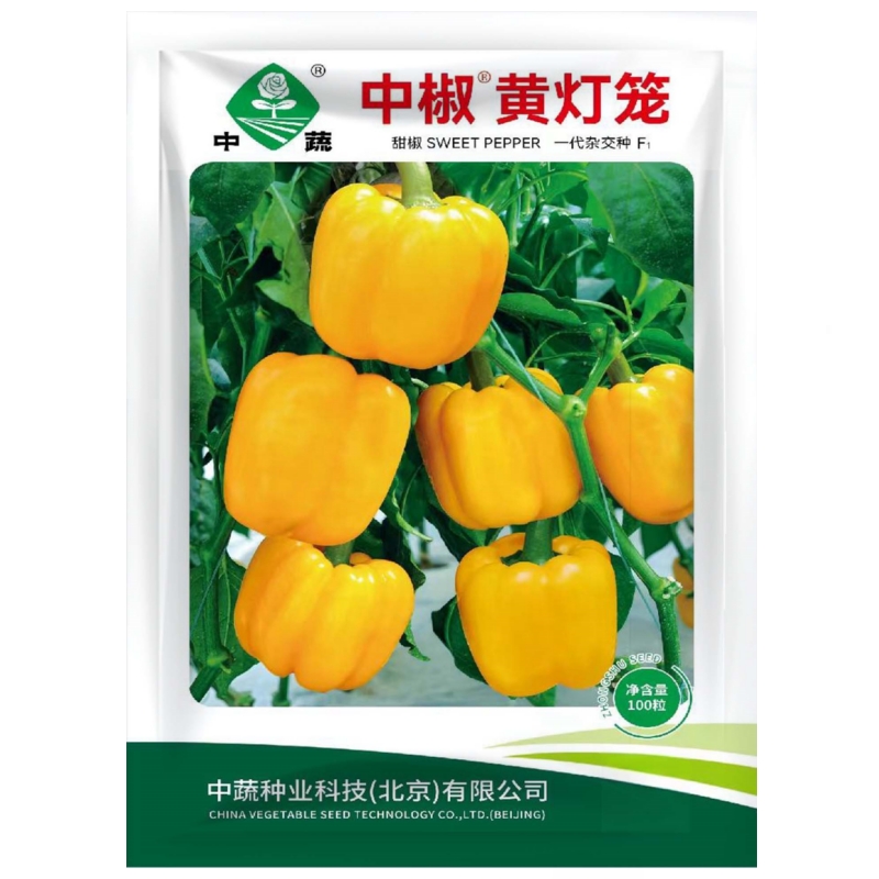 中椒黄灯笼甜椒种子黄圆椒方椒太空椒籽四季春季蔬菜种孑禾之元,鲜花速递/花卉仿真/绿植园艺,家庭园艺种子,淘宝优惠券,粉丝福利购,淘宝优惠卷