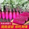 Товары от 禾之元种业