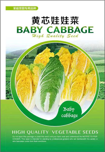黄芯娃娃菜种子蔬菜籽