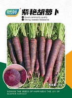 Семена пурпурной морковки 1 г, около 380 импортированных голландских семян с покрытием