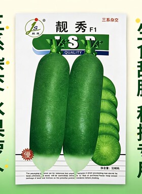 靓秀F1萝卜种子水果萝卜三系杂交
