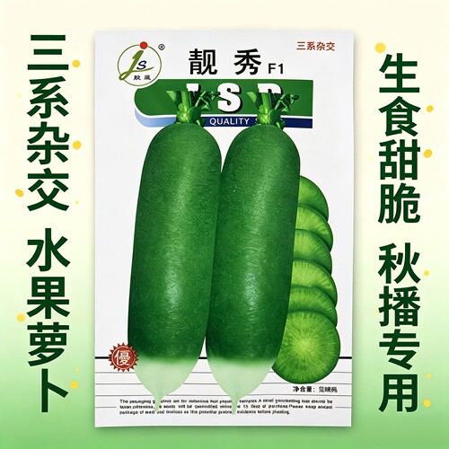 靓秀F1萝卜种子水果萝卜三系杂交
