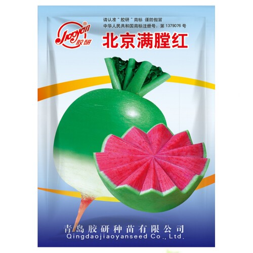满堂红心里美萝卜种子