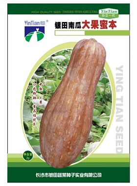 大果蜜本南瓜种子传统秘本密本南瓜蔬菜种孑蔬菜春播正品四季大南