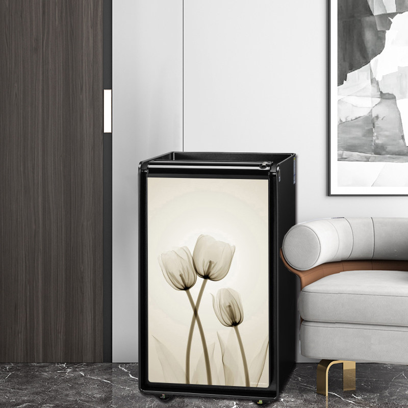 韩国司库lucell保险柜指纹家用