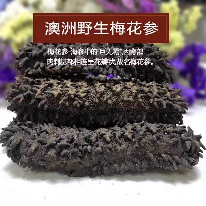 澳洲梅花参野生进口淡干海参干货深海水产冷水刺参非大连即食辽参
