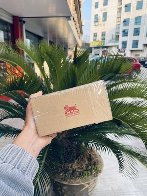 SHISHA MATE 阿拉伯水烟碳 印尼进口狮子碳 方块coconut charcoal