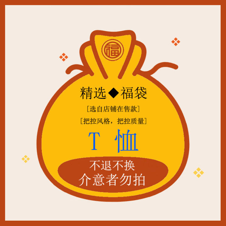 【精品T恤】福袋◆240克重或麂皮绒T恤随机，保证品质~