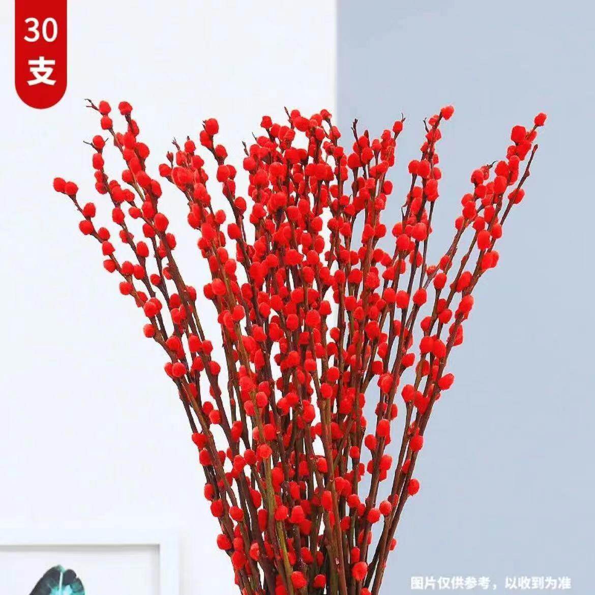 6080红色银柳真花鲜枝干支干枝装饰春节室内落地插花花卉水养过年