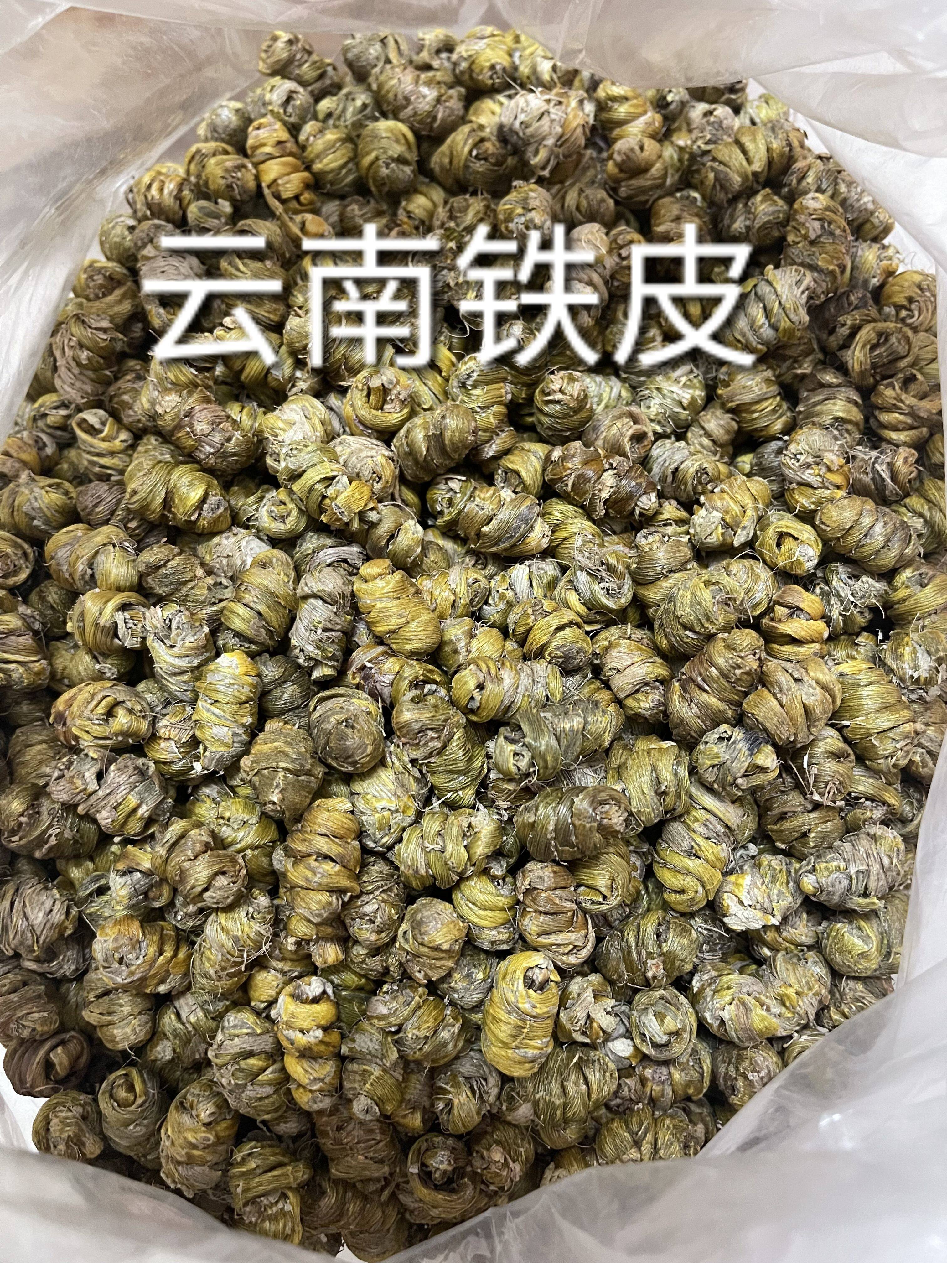 海当家的浙江铁皮石斛云南紫皮石斛红珠虫斛条野小绿珠石斛非水草