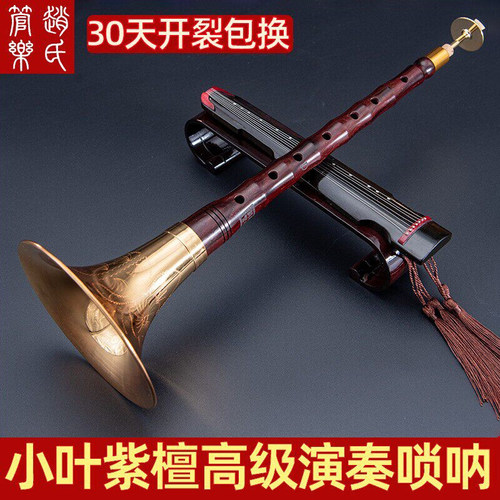 专业唢呐赵氏专业演奏小叶紫檀D
