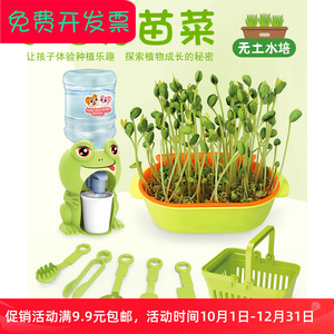 儿童饮水机学生礼物水培芽苗菜
