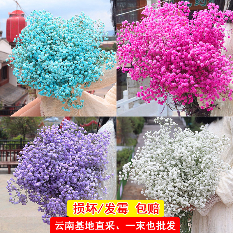 超大束满天星干花花束真花鲜花论斤卖客厅装饰摆件生日礼物永生花