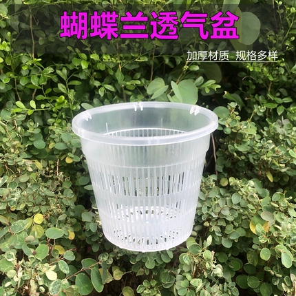 蝴蝶兰加厚专用营养杯透气花盆控根盆石斛兰花育苗透明塑料盆