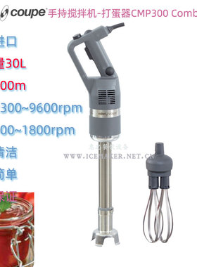 法国进口打蛋机RobotCoupe商用