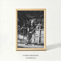 Pantera Pandora guitarist Dimebag Darrell framed decorative painting heavy metal electric guitar wall painting thumbnail 5