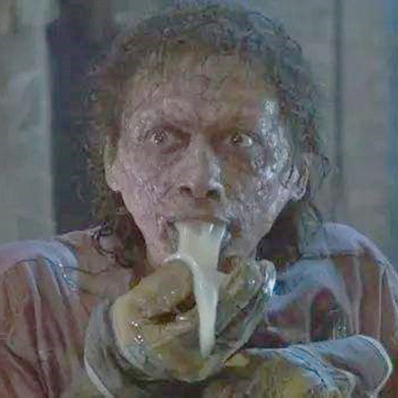 恐怖电影变蝇人苍蝇海报画带框挂画画书房卧室酒吧