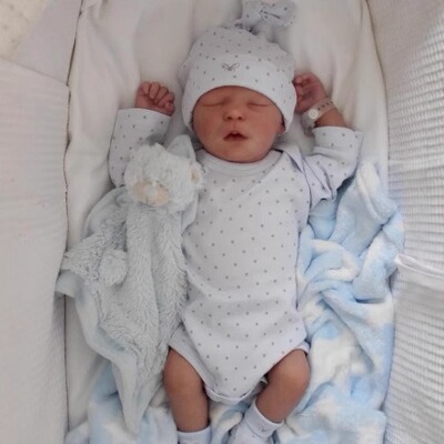 全软搪胶身跨境3D高级彩绘17寸重生娃娃Reborn Darren仿真婴儿