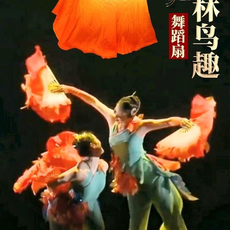 舞蹈用品舞扇林鸟趣话真丝一对民间胶州秧歌古典舞跳舞演出道具