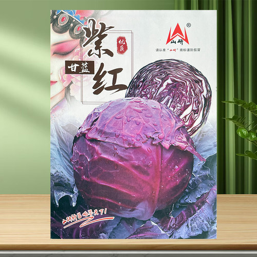 紫甘蓝菜种紫包菜籽卷心菜大头包心菜牛心包菜种籽菜种子籽种苗孑