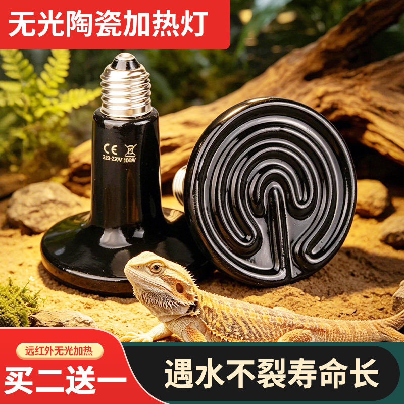 陶瓷加热灯爬宠夜灯宠物取暖器图片