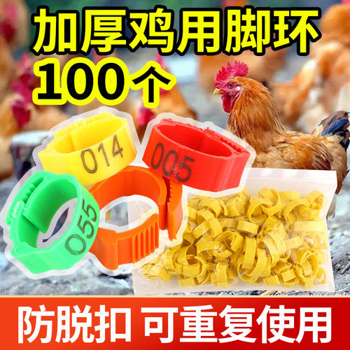 鸡脚环卡扣式鸡用脚环脚圈记号识别环鸡鸭鹅家禽类脚环脚圈标签