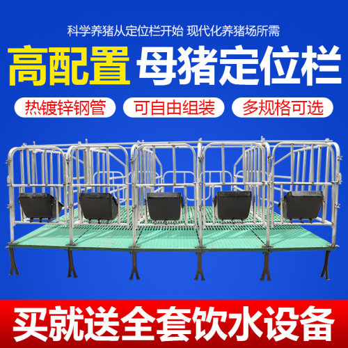漏粪板设备保育两用母猪