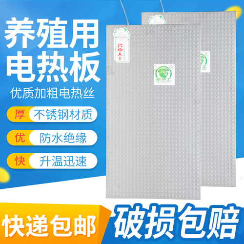 不锈钢电热板仔猪恒温宠物狗兽用