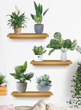 绿色仿真吊篮墙贴纸绿植盆栽贴画