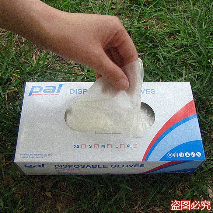 派乐斯手套一次性薄膜乳胶加厚100只装家用餐饮透明50双