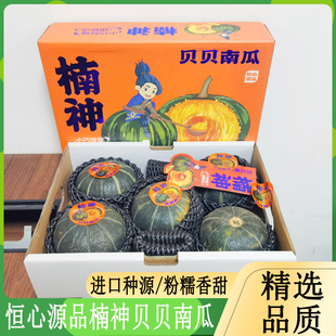 恒心源品楠神贝贝小南瓜礼盒装新鲜粉糯板栗迷你南瓜宝宝辅食整箱