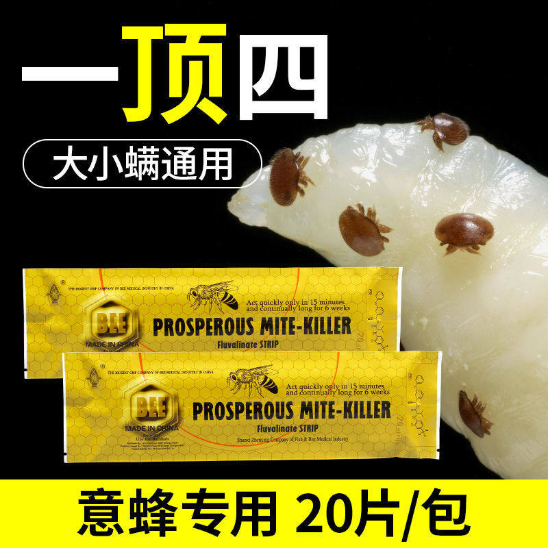 蜂箱螨扑挂片 养蜂工具 振兴塑料出口英文鑫螨扑挂片 一顶四 包邮